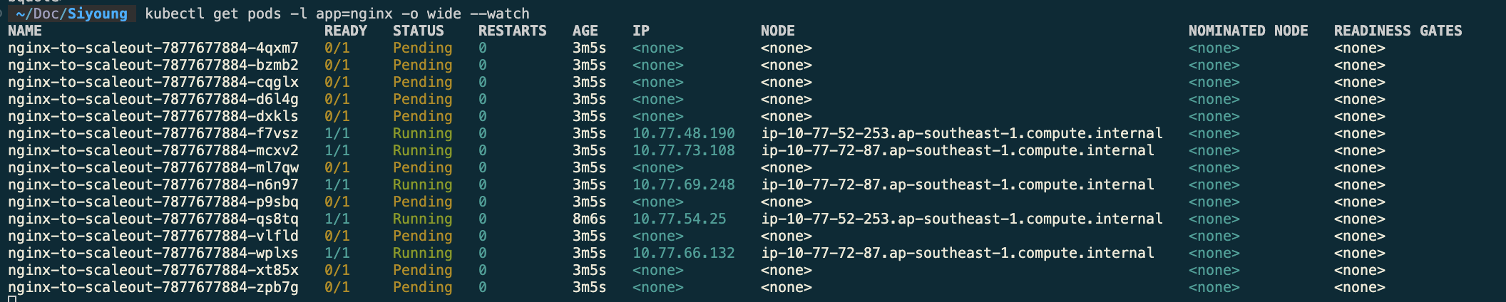 AEWS 3주차 - 2) EKS Node Scaling - Domingo Doodles - AWS EKS Workshop Study